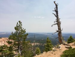 Bryce Canyon National Park