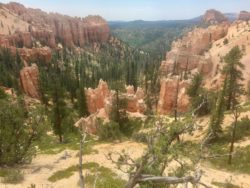 Bryce Canyon National Park