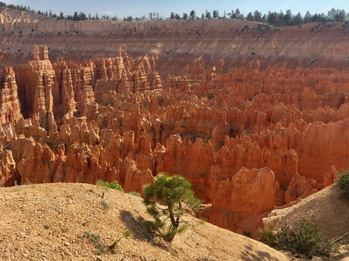 Bryce Canyon National Park
