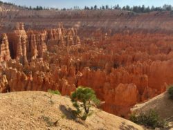 Bryce Canyon National Park