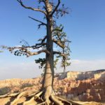 Bryce Canyon National Park