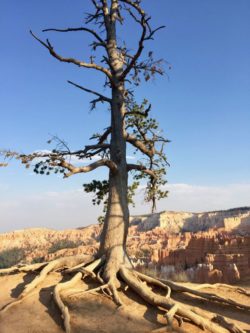 Bryce Canyon National Park