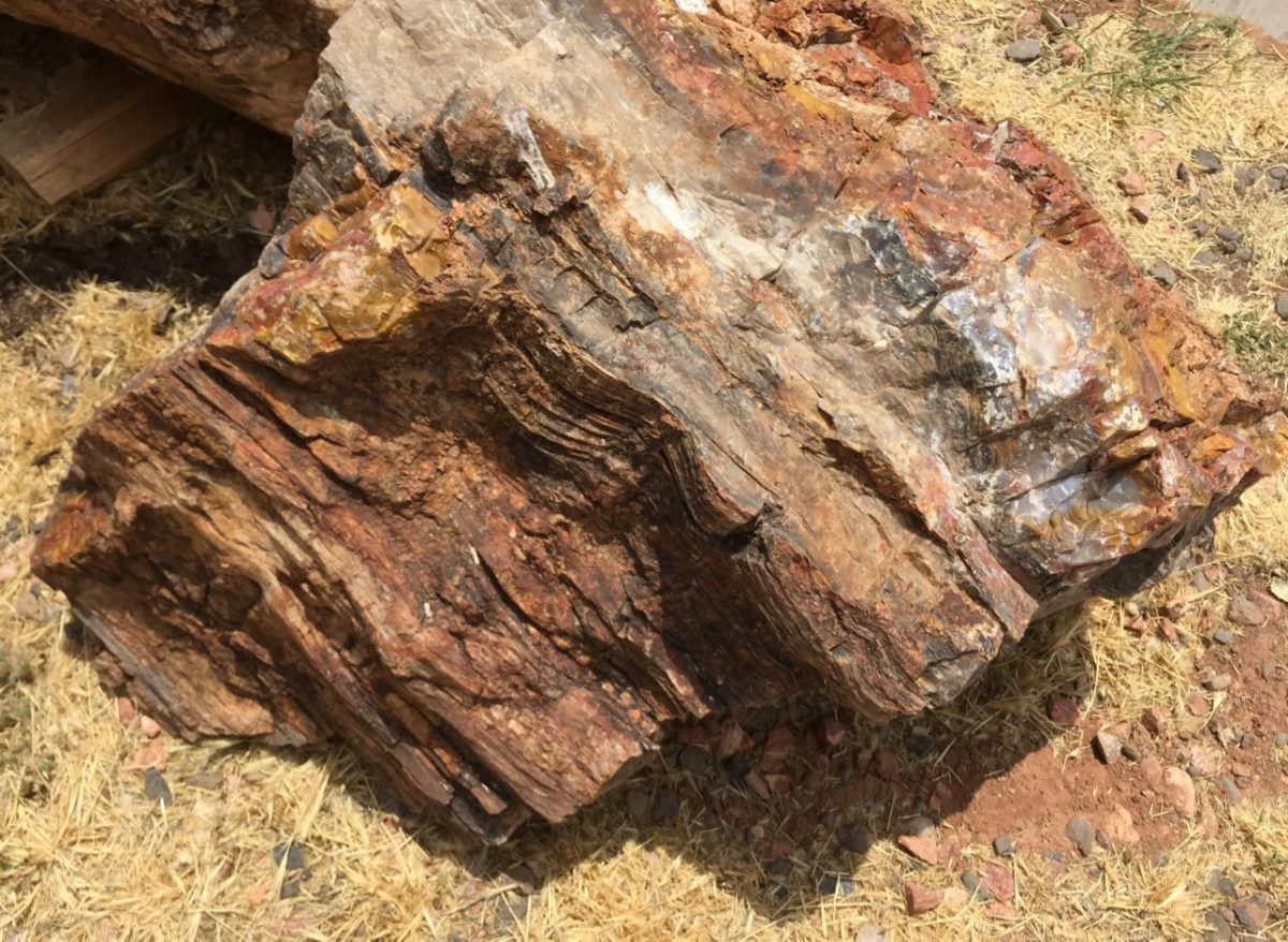 Bryce Canyon to Capitol Reef