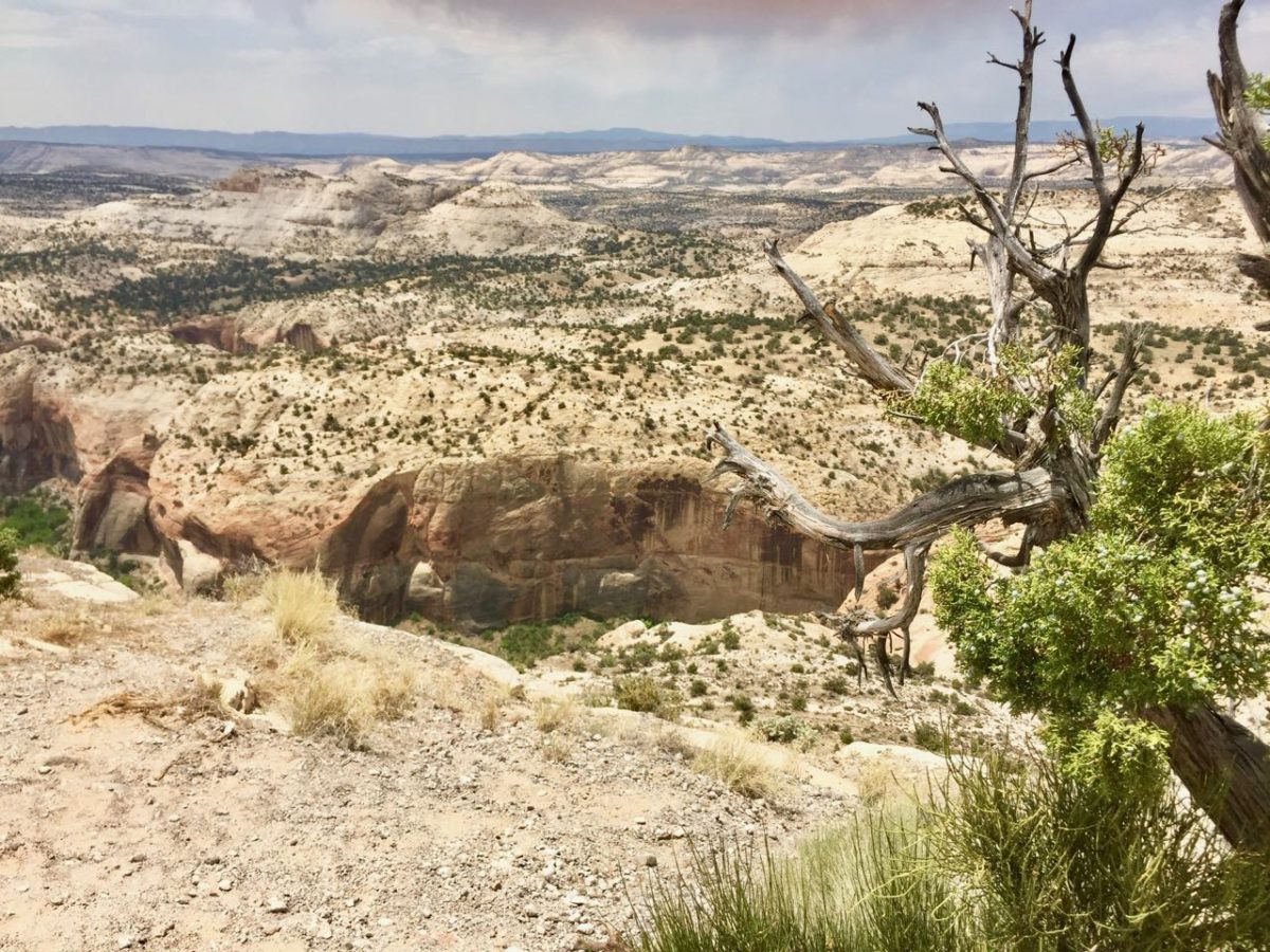 Bryce Canyon to Capitol Reef
