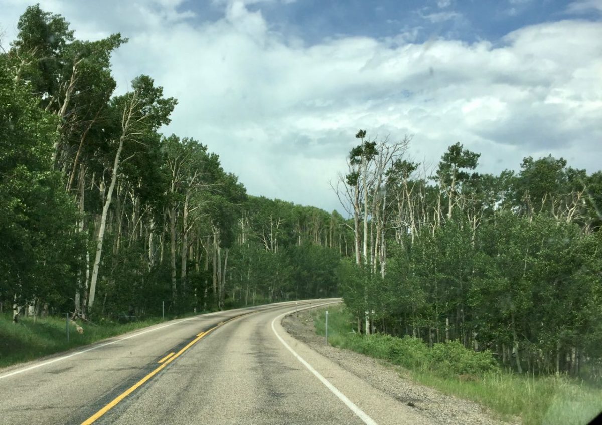 Bryce Canyon to Capitol Reef