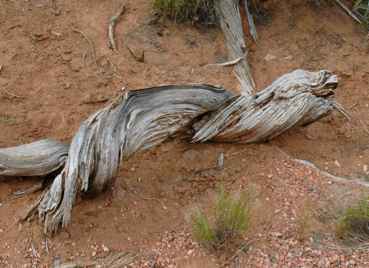 Bryce Canyon to Capitol Reef