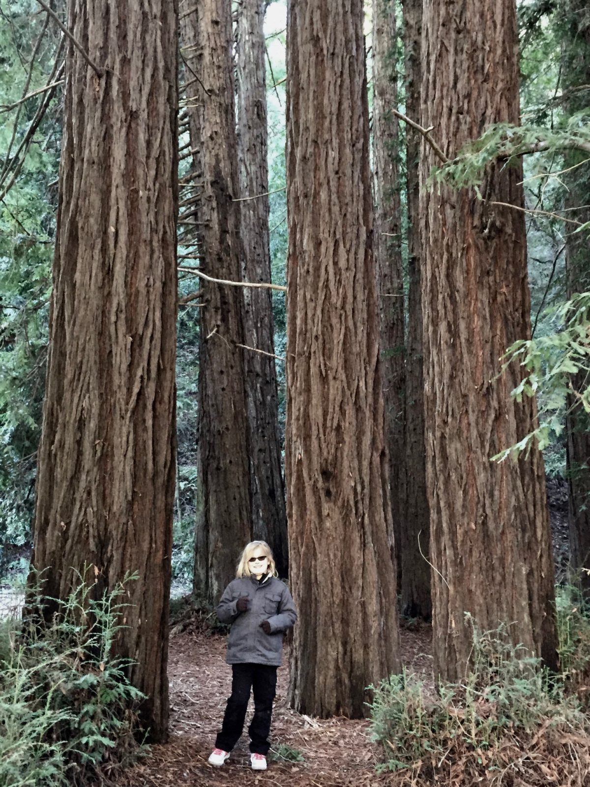 week in San Francisco