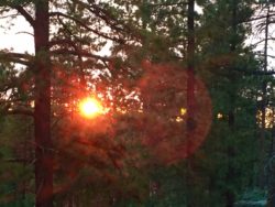 Sunset - Bryce Canyon