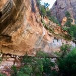 Zion National Park