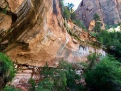 Zion National Park