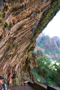 Zion National Park
