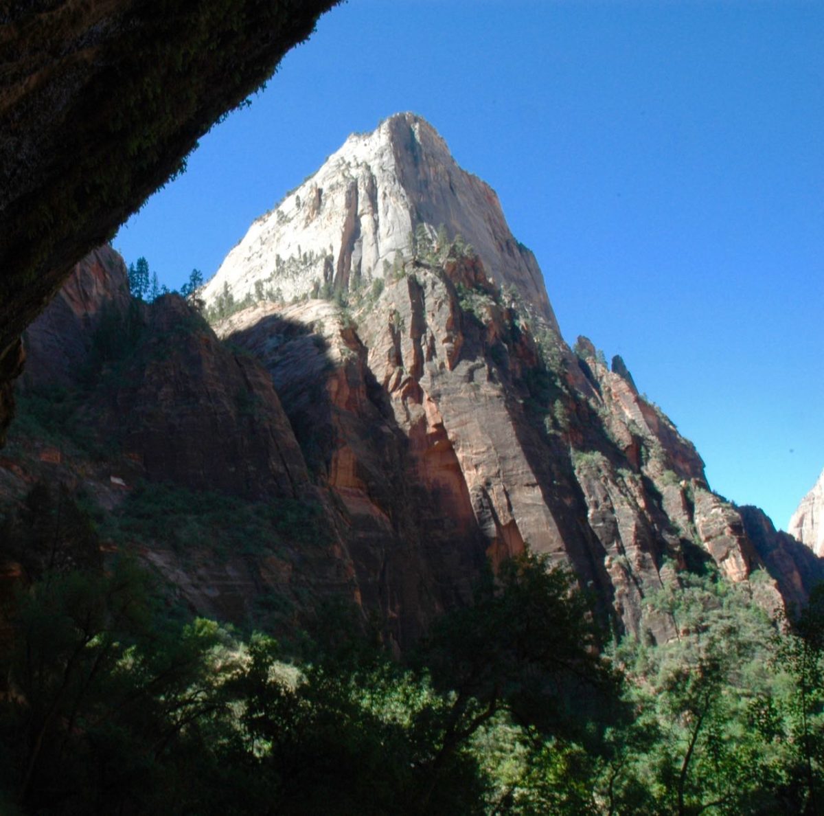Zion National Park
