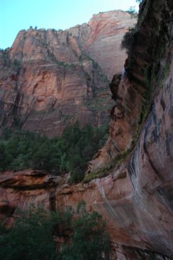 Zion National Park