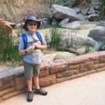 Zion National Park