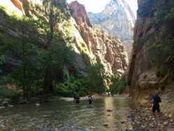 Zion National Park