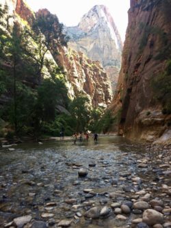 Zion National Park