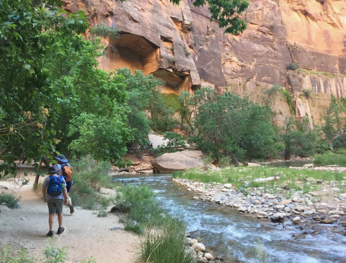 Riverside Walk - Zion National Park