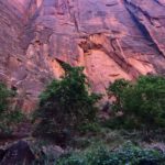 Zion National Park