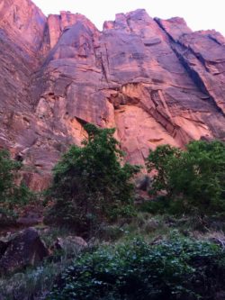 Zion National Park