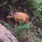Zion National Park