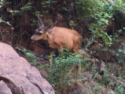 Zion National Park