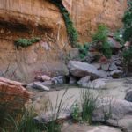 Zion National Park