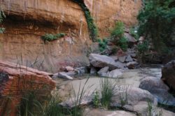 Zion National Park