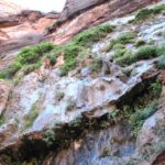 Zion National Park