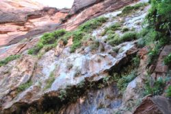 Zion National Park