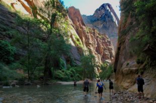 Zion National Park
