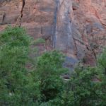 Zion National Park