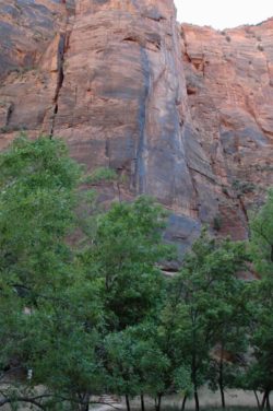 Zion National Park