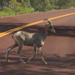 Zion to Bryce Canyon