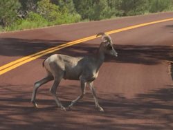 Zion to Bryce Canyon