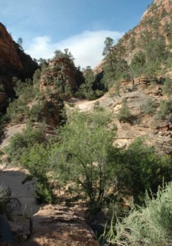 Zion to Bryce Canyon