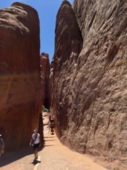Arches National Park