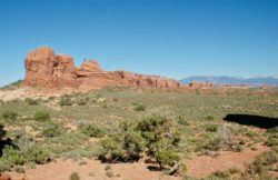 Arches National Park