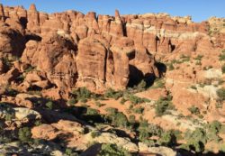 Arches National Park