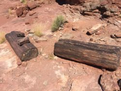 Canyonlands National Park