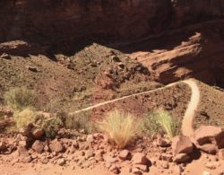 Canyonlands National Park