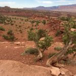 Capitol Reef National Park