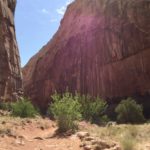 Capitol Reef National Park