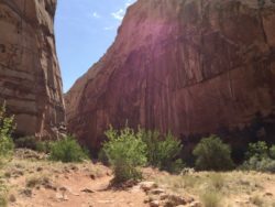 Capitol Reef National Park