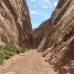 Capitol Reef National Park