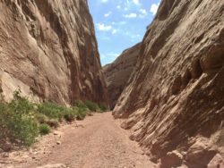 Capitol Reef National Park