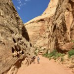 Capitol Reef National Park