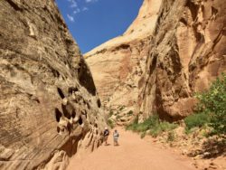 Capitol Reef National Park