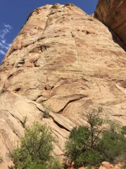 Capitol Reef National Park