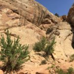 Capitol Reef National Park