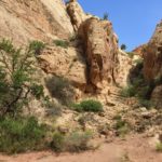 Capitol Reef National Park